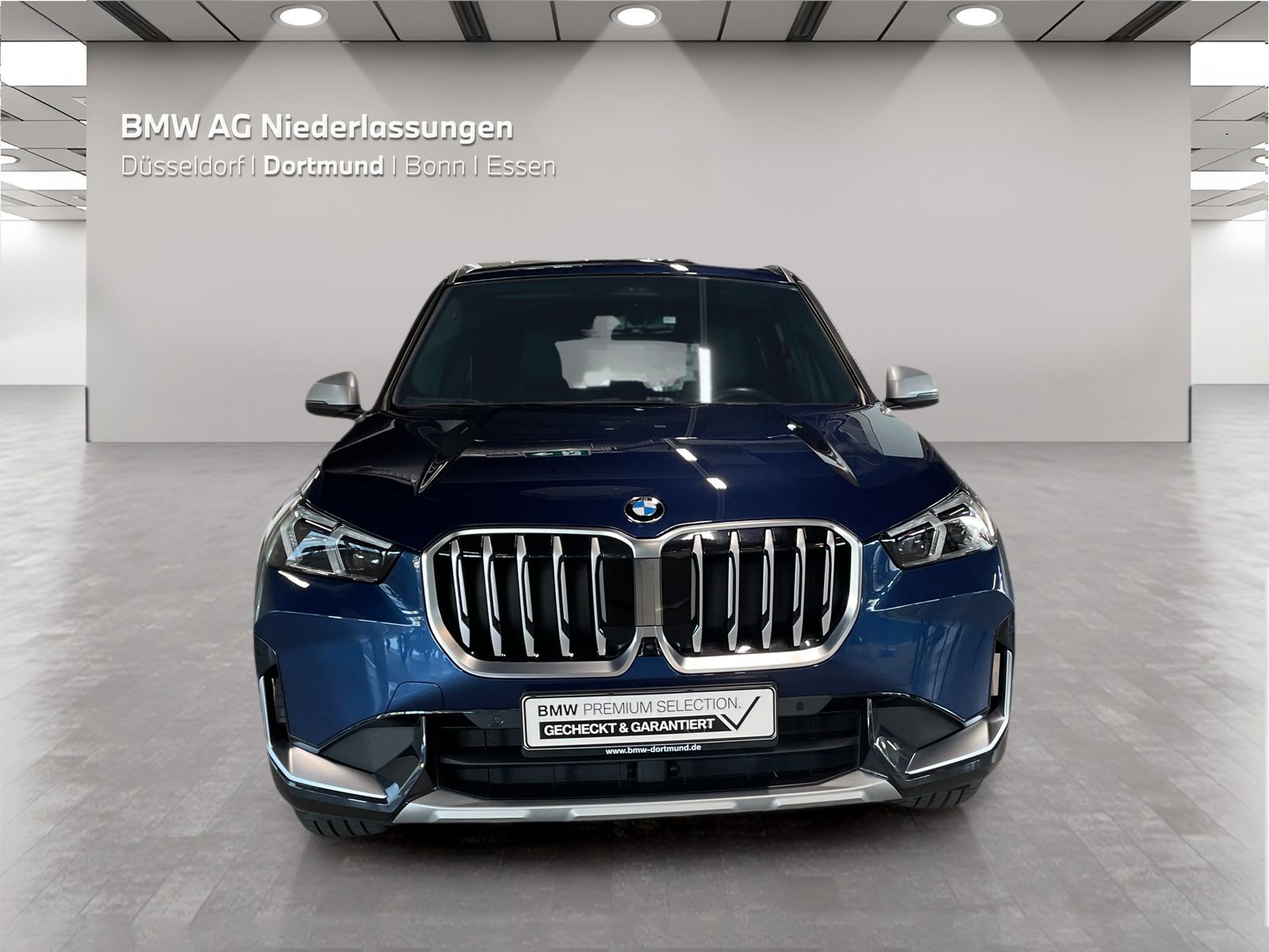 BMW X1 sDrive20i Harman K LiveCockpitProf Head-Up foto 5
