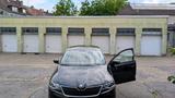 Skoda Rapid EZ 2019 / TÜV 03 2026 / - Skoda Rapid in Duisburg