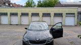 Skoda Rapid EZ 2019 / TÜV 03 2026 / - Skoda Rapid in Essen