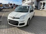 Fiat Panda Pop - Fiat Panda POP mit Benzin-Antrieb