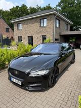Jaguar XF 30d 300PS R-Sport Automatik R-Sport - Jaguar XF 300-Sport
