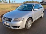 Audi A3 1.6 Attraction Attraction - Audi A3 aus 2004: 1.6