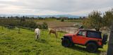 Jeep Wrangler 2.2l CRDi Rubicon Automatik  Edition    - Jeep Wrangler: Orange