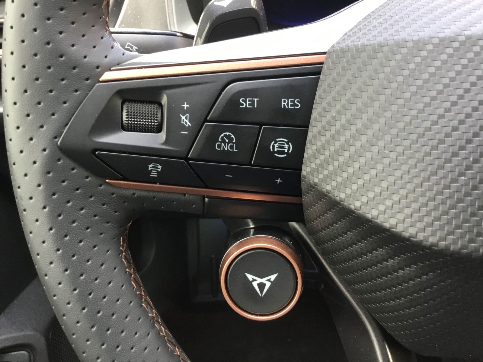 Fahrzeugabbildung CUPRA Formentor 2.0 TSI VZ Black Edition DSG+Pano+AHK