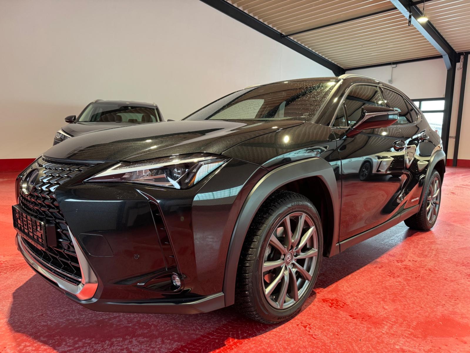 Lexus UX 250 h/LED/ACC/NAVI/SITZH/KAMERA/
