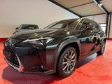 Lexus UX 250 h/LED/ACC/NAVI/SITZH/KAMERA/ - Lexus UX aus 2022