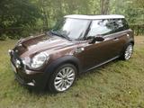MINI Cooper S Mayfair 50 Top Zustand viele Extras