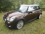 MINI Cooper S Mayfair 50 Top Zustand viele Extras - MINI MINI: Mayfair 50