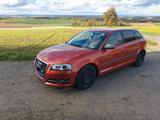 Audi A3 2.0 TDI 170PS QUATTRO AHK XENON TÜV03/27 - Audi A3: TDI 170