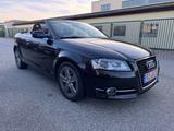 Audi A3 1,6 TDI Cabriolet Alcantara+Xenon+PDC+MFL - Audi A3: Schwarz, Cabrio