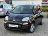 Fiat Panda 1.2 Easy Klima 2.Hand TOP Scheckheft Euro6 - gebrauchte Fiat Panda aus dem Jahr 2019