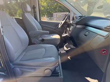 Mercedes Viano - 12