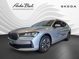Skoda Superb Combi Essence 2.0 TDI 110 kW 7-Gang-DSG - Skoda Superb: Essence
