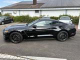 Ford Mustang Shelby GT 350+Technology-Pckg. - Ford Mustang: Gt350
