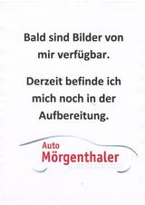 Volkswagen Polo 1.0 TSI DSG Sondermodell "United" - Volkswagen Polo: Sondermodell