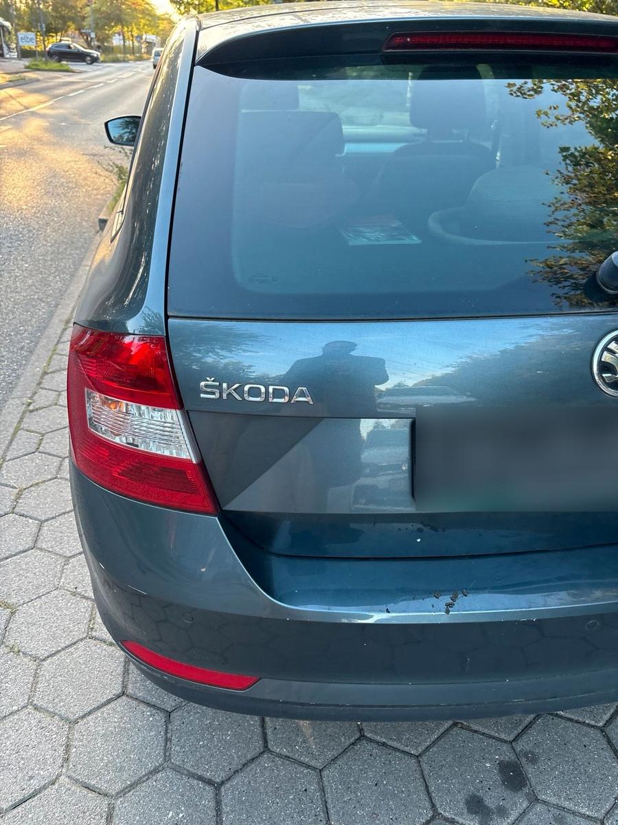 Skoda Fabia 2015 — вигляд ззаду
