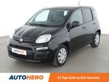 Fiat Panda 1.0 Mild-Hybrid*KLIMA*GARANTIE* - Fiat Panda Gebrauchtwagen in Köln