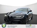 Alfa Romeo Giulia Quadrifoglio Oro Sondermodell Akrapovic - Alfa Romeo Giulia Akrapovic Gebrauchtwagen