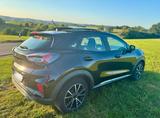 Ford Puma 1,0 EcoBoost Hybrid 92kW Titanium + Flat - Ford Puma von privat
