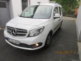 Mercedes-Benz  Mercedes Benz Citan - Mercedes-Benz Citan Gebrauchtwagen in Bielefeld