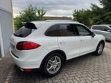Porsche Cayenne Diesel Platinum Edition - Porsche Cayenne in Mannheim