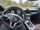 Mercedes-Benz SLK 350 R172 AMG Paket - Mercedes-Benz SLK 350 Gebrauchtwagen