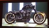 Harley-Davidson Forty-Eight 1200/5HD1