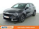Kia Sportage 1.6 TGDI Mild-Hybrid Vision 4WD Aut. - Kia Sportage Gebrauchtwagen in Stuttgart