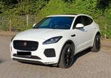 Jaguar E-Pace P300 R-DYNAMIC SE 4WD mit Panoramadach  - Jaguar E-Pace: Se