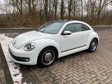Volkswagen New Beetle Cup - Volkswagen New Beetle: Limousine