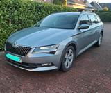 Skoda Superb 1,6 TDI Top Zustand Sommer un... - Skoda Superb: 1.6