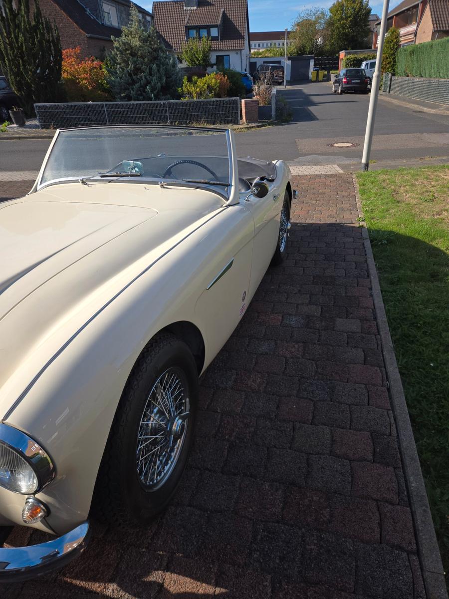 Austin Healey Andere