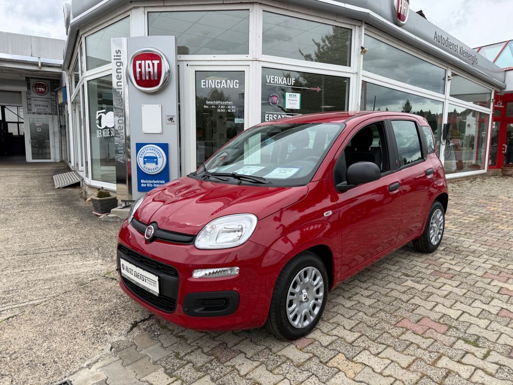 Image of Fiat Panda