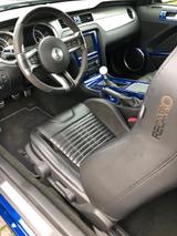 Ford Mustang Shelby GT500 - Ford Mustang Gebrauchtwagen in Frankfurt