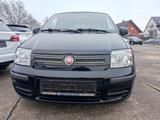 Fiat Panda 1.2 8V Dynamic/Klima/ZV/EFH/ HU neu/ - Fiat Panda: Dynamic