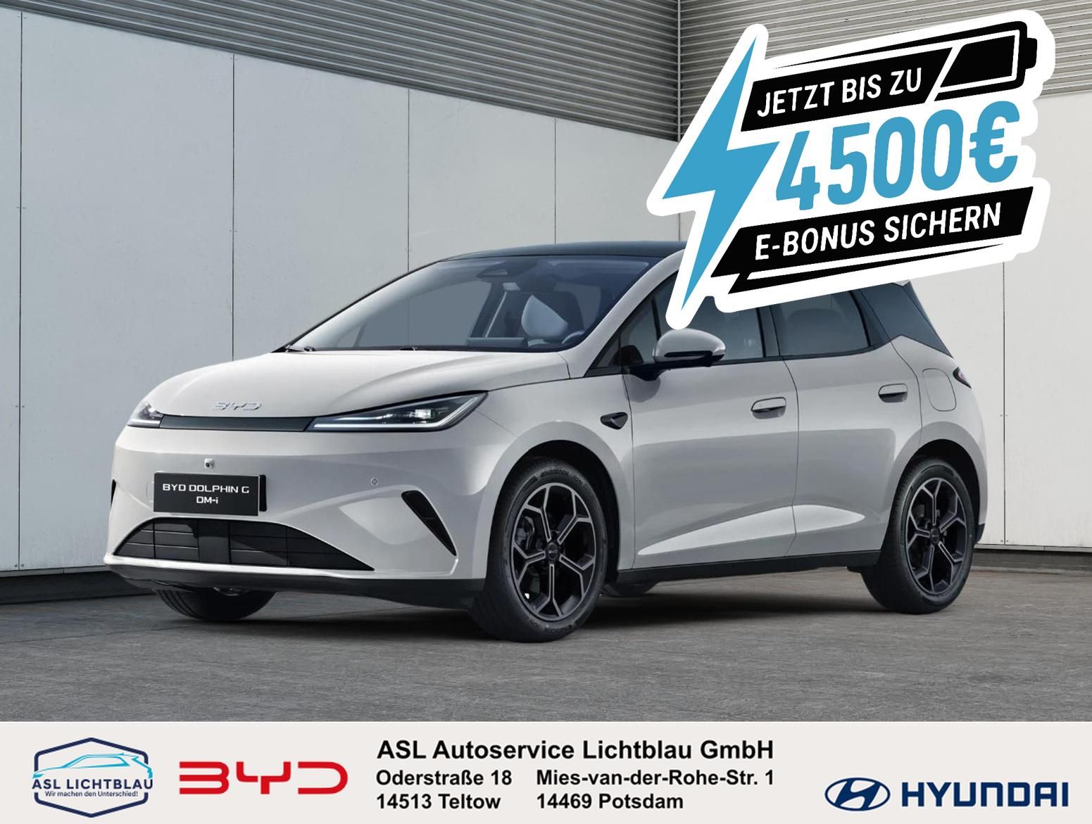 BYD DOLPHIN