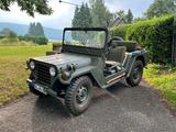 Ford Mutt M151 Jeep Willys - Ford mit Benzin-Antrieb: Geländewagen, M 151 Mutt