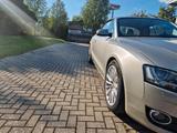 Audi A5 2.0 TFSI Cabriolet - - Audi aus 2010: Cabrio