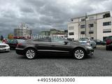 Volkswagen CC Basis-Bi-Xenon-SHZ-Navi+12M-GARANTIE+HU Neu - schwarze Volkswagen CC