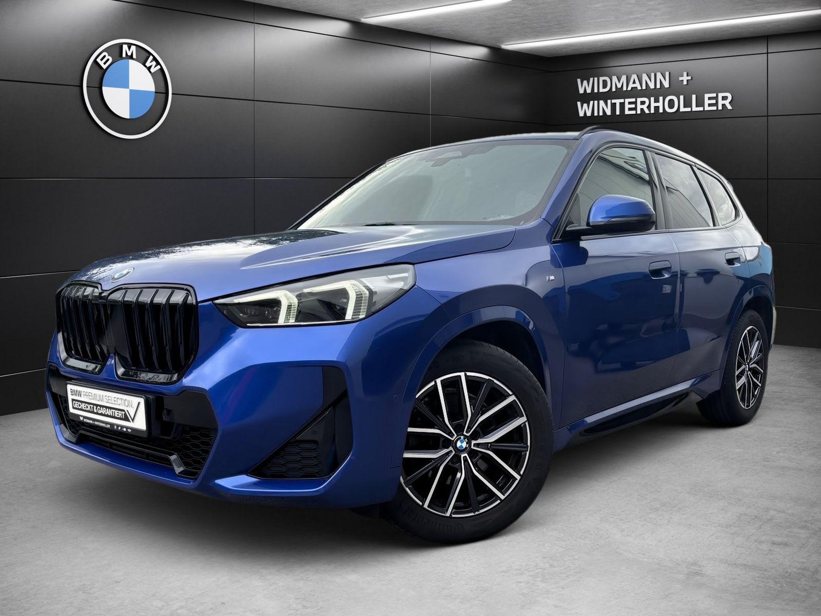 BMW X1 sDrive20i M Sport Navi DA adapt. LED AHK foto 1