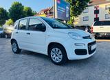 Fiat Panda 1.2 Pop Klimaalage - Fiat Panda Gebrauchtwagen in Saarbrücken