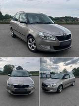 Skoda Fabia Greenline 1.2 TDI - Skoda Fabia Greenline mit Diesel-Antrieb