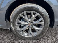 Cupra Terramar - Vorschau Bild 8