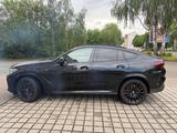 BMW X6 M50 M50i - - BMW X6 M50 aus 2021
