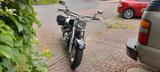 Suzuki VL 1500 Intruder - Angebote