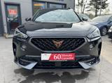 Cupra Formentor 2.0 TDI 4Drive - Cupra Formentor Gebrauchtwagen