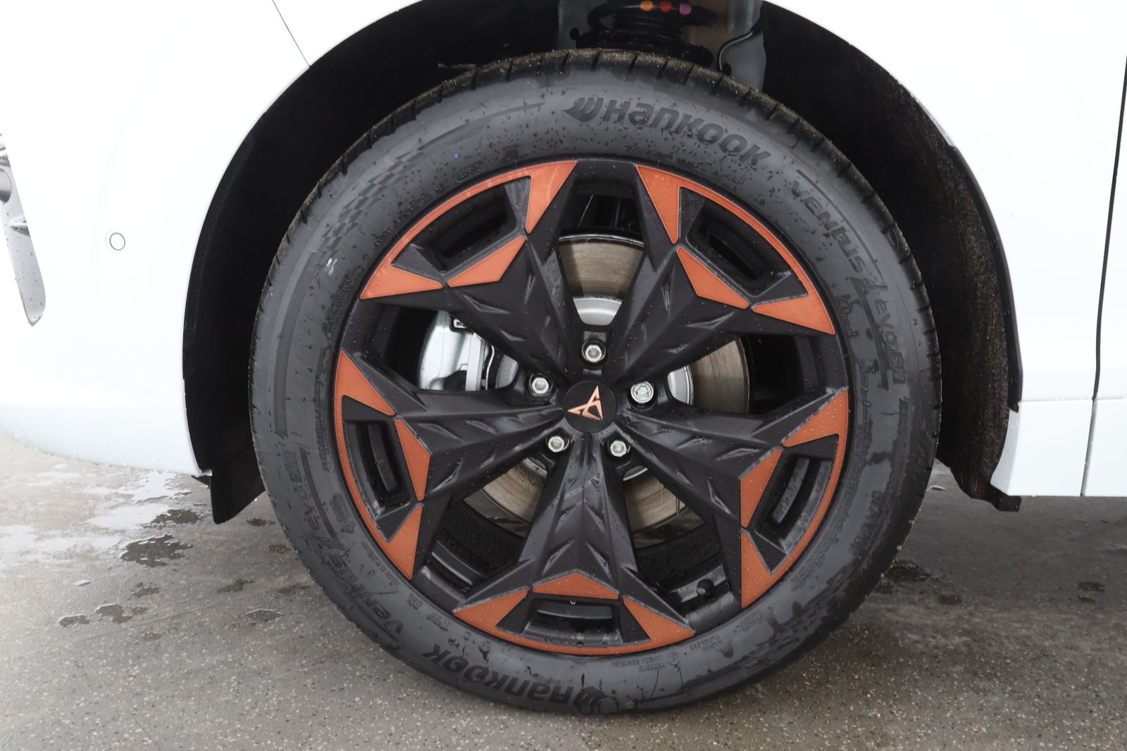 Cupra Terramar - Bild 10