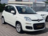 Fiat Panda Lounge  *1.Hand*Wenig Km*Klima*Alu*Top* - Fiat Panda: Km H