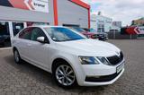 Skoda Octavia 1.6 TDI DSG CLEVER Navigation/PTC - Skoda Octavia mit Diesel-Antrieb: Limousine, 1.6