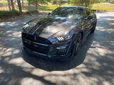 Ford Mustang Shelby GT500  Karbon Track MY22 - Ford: Kar